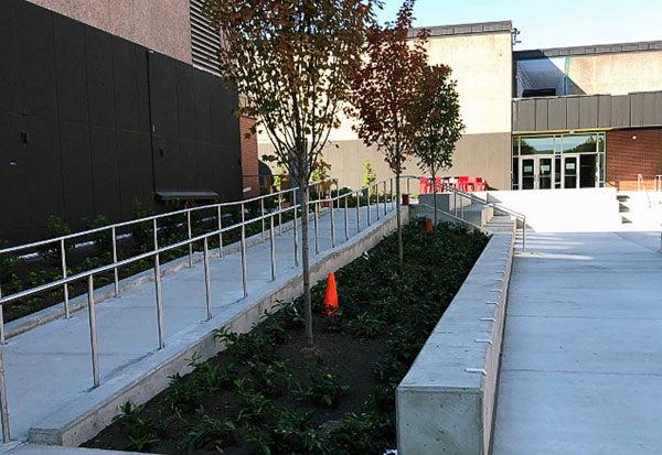 trees and low plants are in a garden between two concrete walkways