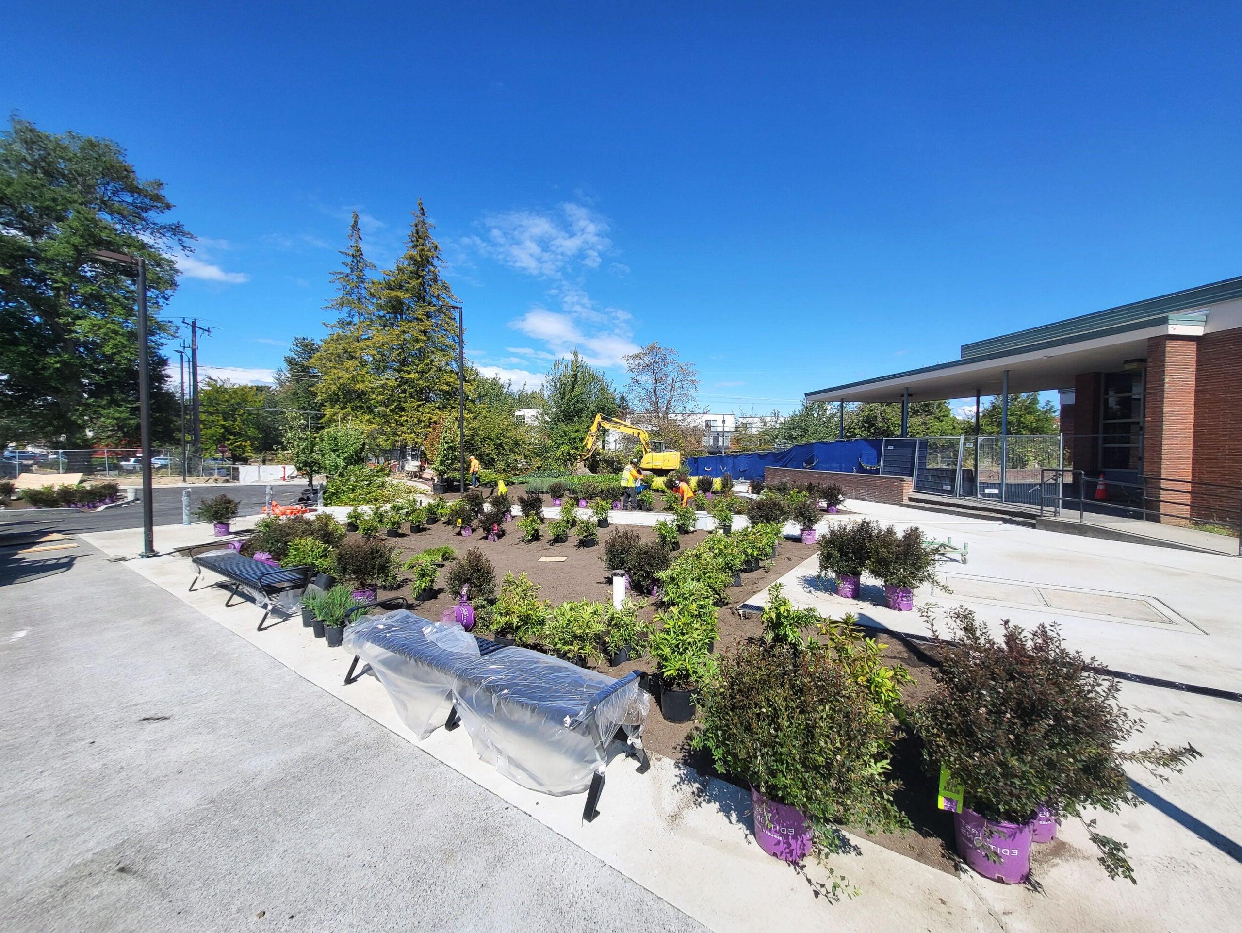 plants in pots sit on a soil area surrounded by concrete. benches covered in plastic are in front