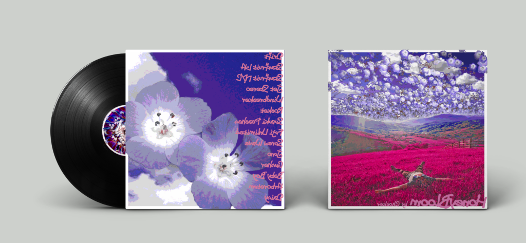 Eli Wolfe-Jones, 11th Grade, "Honey Bloom Album Redesign"