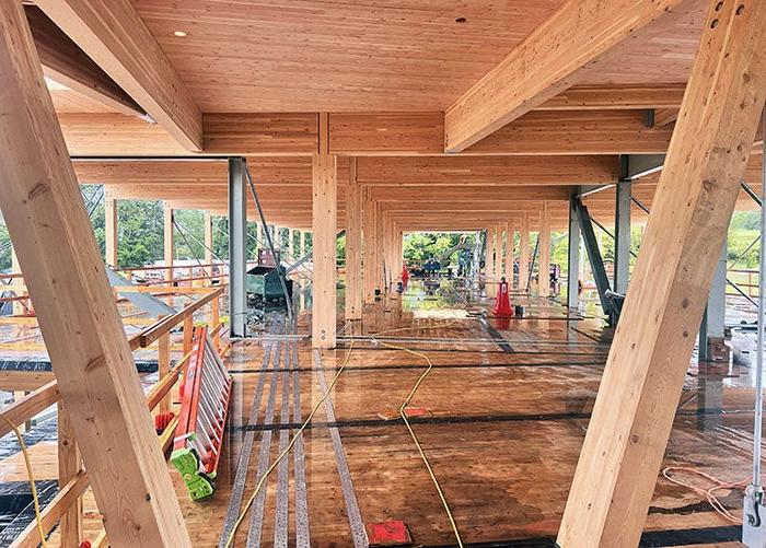 a large open space with laminated timber beams and wall supports and cross laminated decking