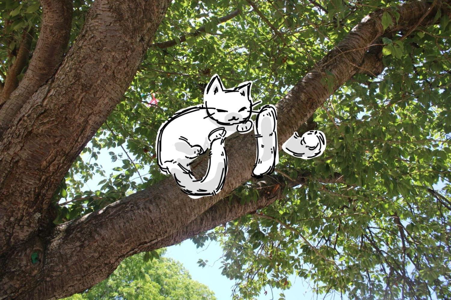 animated cat sitting in photo of tree picture